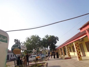 12313925_626283900808112_5982618892649564369_n